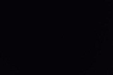 בית מלון כפרי Yala Srilanka