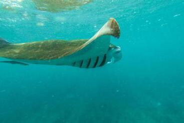 ペンション Kuda Giri