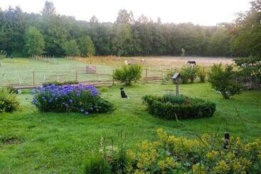 Bed and Breakfast La Libellule