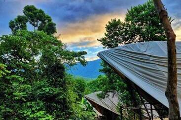 Jungle Gayborhood   Lgbtq Boutique Hotel And Retreat