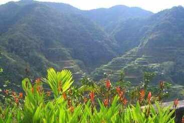 펜션 Native Village Inn