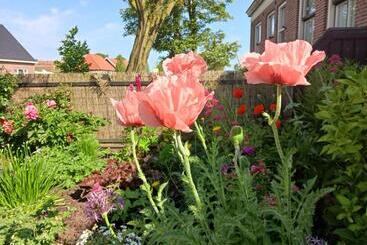 住宿加早餐 Huize Bloem