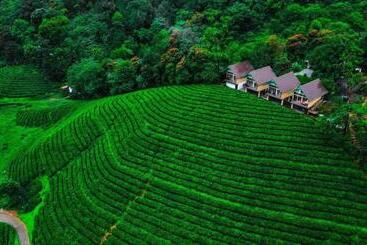 ホテル Zero Degree Jungle Resort