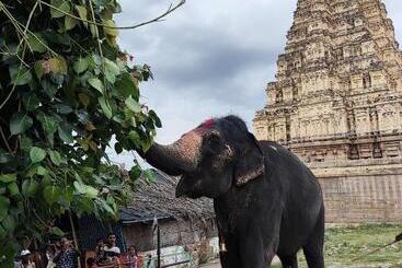 پانسیون Temple View Guest House