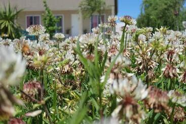 فندق صغير Rincón Del Alma