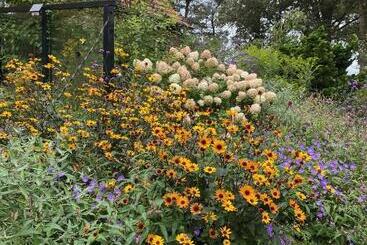 צימר De Viersprong