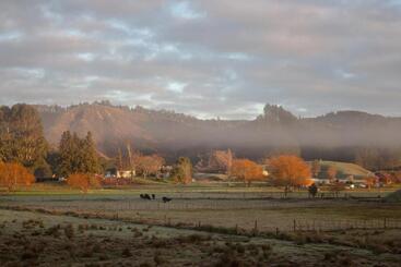 Пансион White Pine Bush Cabins