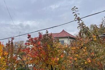 پانسیون Lake House