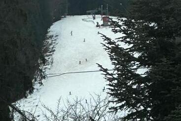 بنسيون Kasa Verde