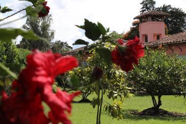 ベッドアンドブレックファースト Finca Hotel La Masia