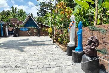 בית מלון כפרי Byron Jungle Resort