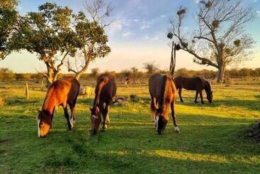 فندق Estancia San Baltazar