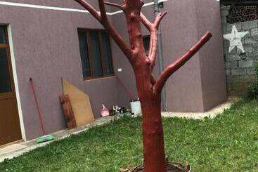 펜션 Selami Guesthouse