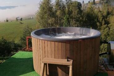 Пансион Cabana Gabriel Bucovina