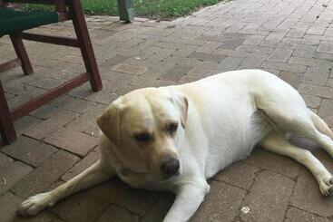 膳宿费 Retreat In Stirling