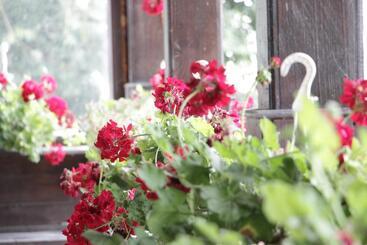 Отель Hanul Lui țintă