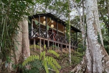 Eco Hotel Aldea   Amazonas