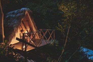 Tigrillo Rio Claroby Loscoloresecoparque