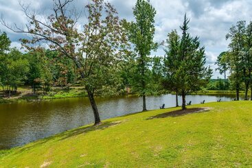 بيت ريفى Buena Vista Cabin: Tranquil Haven Near Town Square