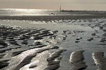 קוטג'' Driftwood Cabin   Dog Friendly, Anderby Creek