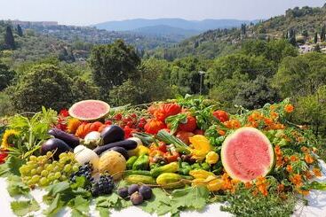 פנסיון Domaine De La Cascade Parfumée