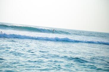 בית מלון כפרי Funky