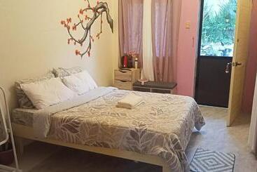 ホテル Klub Safari Tourist Inn