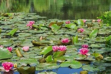 Bed and Breakfast Chambres D Hôtes Etang De L Aiguille