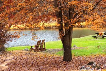 住宿加早餐  Steeles Tavern Manor