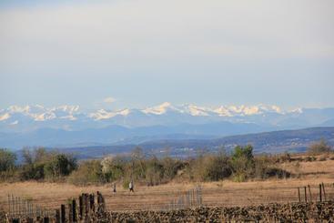 O'vineyards B&b Carcassonne