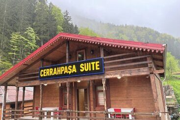 酒店 Uzungol Cerrahpasa Suites