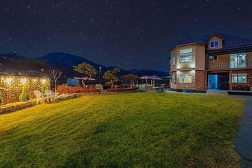 Pensione Count Star Night