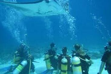 펜션 Fins Dive And Leisure