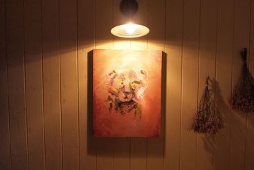 Igloo Dorm & Breakfast  Hostel