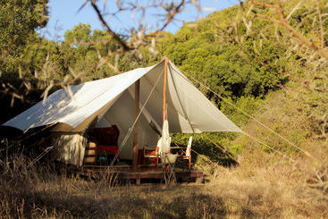 فندق Quatermain S 1920 S Safari Camp   Amakhala Game Reserve