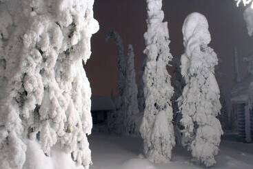 شقق خاصة سياحية Kelokoto Chalets