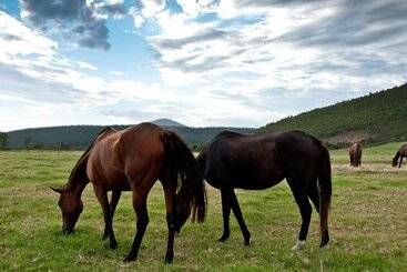 شقق خاصة سياحية Country House At Kay & Monty