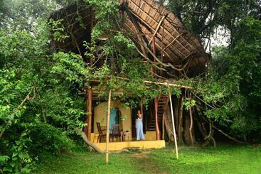 Отель Back Of Beyond Wild Haven