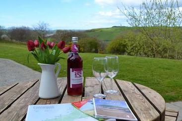 پانسیون Nant Yr Onnen B&b And Ysgubor Holiday Cottage