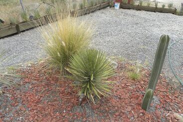 游客公寓 Casa Lavanda