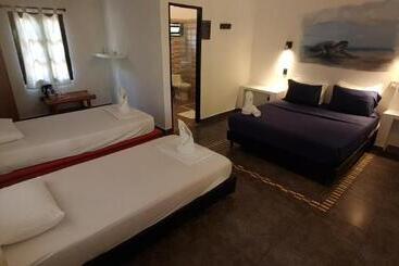 פונדק Dreamer Palomino