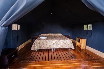 הוסטל Arenal Backpackers Resort