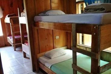 تختخواب و صبحانه Hostel La Suerte