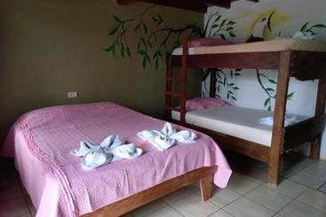 تختخواب و صبحانه Hostel La Suerte