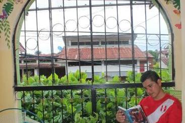 בית מלון כפרי Amazon House Hostel