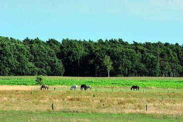Wolfshotel Am Arendsee