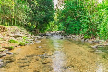 مبيت وإفطار El Mono Feliz