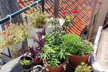 هتل Malena Palace Experience