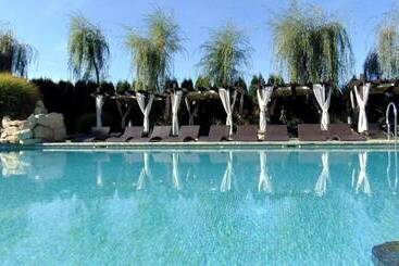 בית מלון כפרי Castel Transilvania