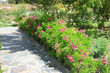 هتل La Quinta Eco
